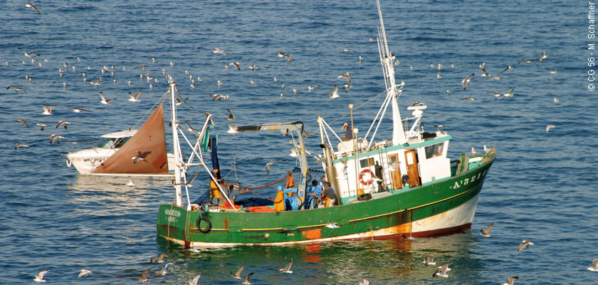 Ports situés sur la Méditerranée: baisse de 13% des débarquements de pêche à fin septembre